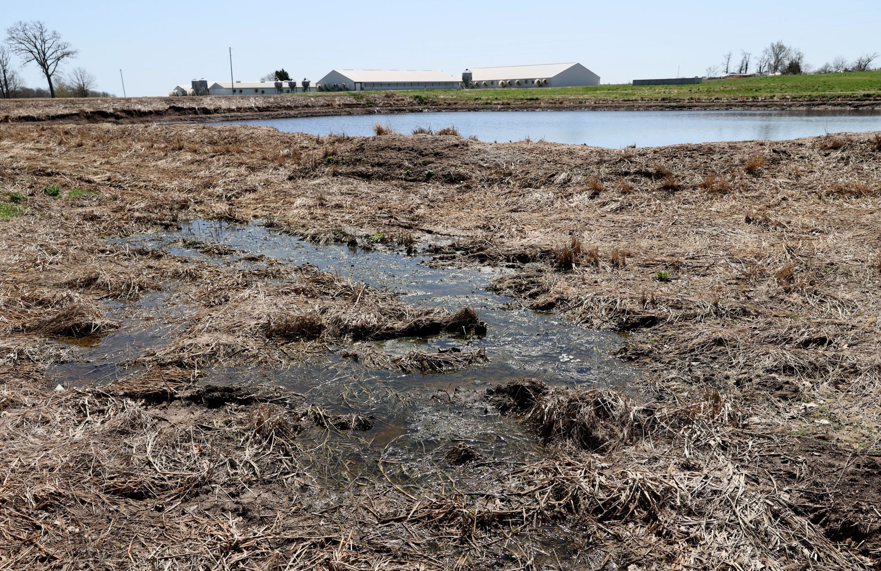 Waste lagoon breaches at Missouri hog farms